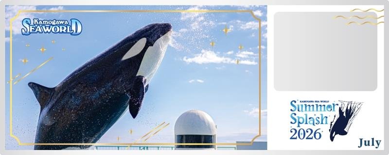 迫力！シャチの水しぶき　来月から「ずぶ濡れフェス」　鴨川シーワールド　限定デザイン「濡れないチケット」も販売