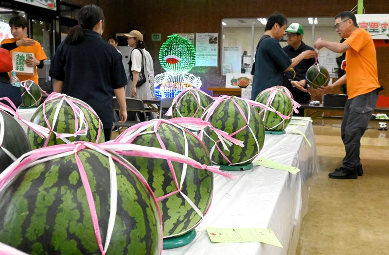 子どもら頬張り笑顔　早食い競争にチャレンジ　富里「すいかまつり」