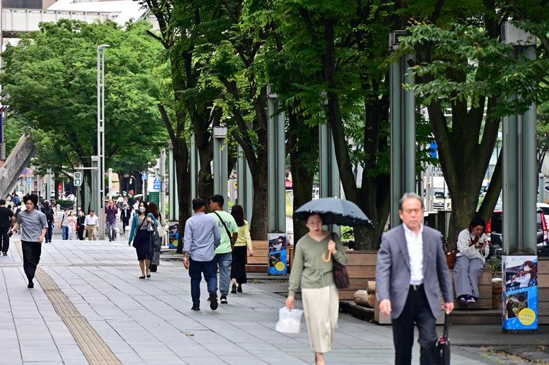 中央公園プロムナード再編　緑基調「ひと中心」空間へ　 車道の縮小、歩道拡幅　千葉市ビジョン策定  