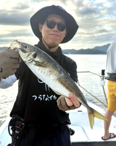 保田、観音崎アジ食い順調　木更津、盤洲シロギス好釣　【今週の釣果】