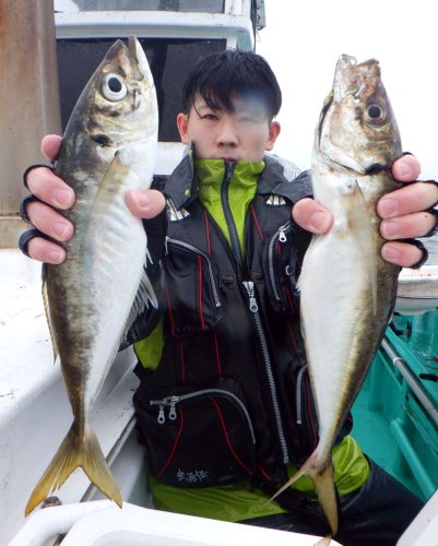 保田沖で釣り上げた大アジ（写真は「村井丸」提供）