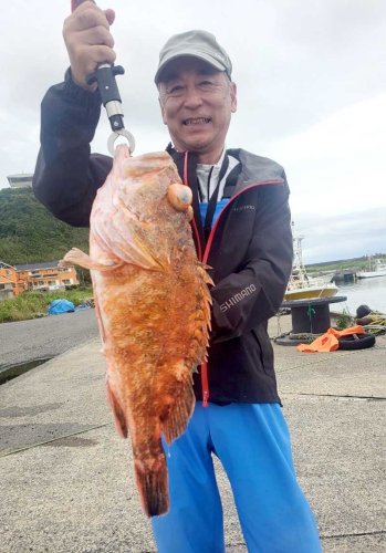 保田、観音崎アジ食い順調　木更津、盤洲シロギス好釣　【今週の釣果】