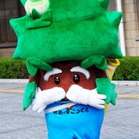酒と祭り愛す「木の精」　なんじゃもん（神崎町）　【ちば　ゆるキャラコレクション】