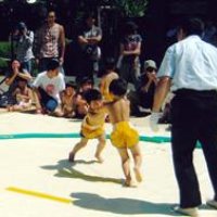２６年ぶり奉納相撲　千葉神社で児童熱戦