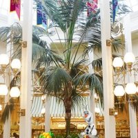 アナとエルサ、オラフが初登場！　グッズ、フードも充実　【東京ディズニーリゾート　２０１５年１～３月】＜２＞