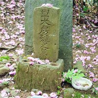 軍犬・軍馬の墓。軍都としての遺構が園内に残る