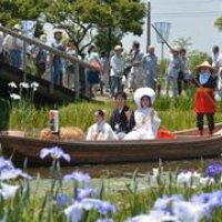 名物「嫁入り舟」再現　色とりどりの花も祝福　香取の水生植物園