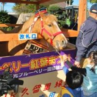馬来田駅に「馬が来た」　駅名にちなみイベント　「マーくん」１日駅長　木更津