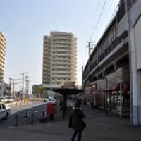 単独の道歩み市制施行　「働く」「育てる」都市目指す　大網白里市【検証ちば　平成の大合併】（４０）番外編