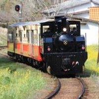 鉄道ファン景色満喫　菜の花揺らし里山旅　トロッコ再出発