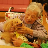 犬に触れ癒される　初のドッグセラピー　木更津の特養