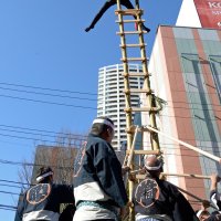 はしご妙技青空“映え”　船橋の若鳶会、２４歳宮下さんデビュー