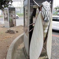 日常の裏に潜むホラー　ヒメハルゼミ電話ボックス（茂原市）【千葉まちなかアート】