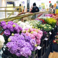 鮮やかな花々が会場を彩った