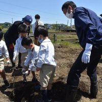 栗の木育てて里おこし　小湊鉄道沿線に１５０本　新たな観光資源創出へ　市原