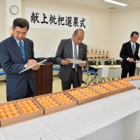 ビワ皇室献上　新型コロナで２年連続自粛　南房総