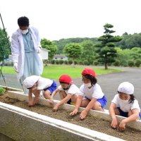 「早く大きくなって」　米沢小で落花生栽培体験　神崎