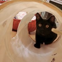 筒の中からコンニチハ