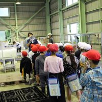 梨の選果に興味津々　市原　児童出荷工程学ぶ　【ちばＪＡだより】