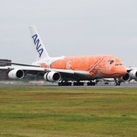 「空飛ぶウミガメ」３機そろう　成田空港にオレンジ色の「最後の１匹」到着　全日空の超大型機エアバス