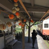 小湊鉄道・月崎駅のハロウィーン飾り　にぎやかに乗客出迎え　コスモスも見頃　市原