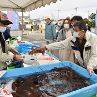 伊勢エビなどの水産品が並んだ港の朝市＝７日、いすみ市