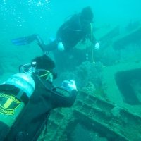 人工魚礁を潜水調査　館山総合高　生多様な生物観察