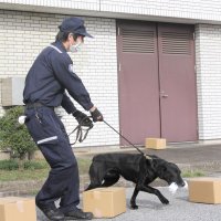 年末年始「特別警戒」　税関や千葉海保　麻薬探知犬も出動
