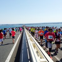 アクアラインマラソン　ボランティア１０００人募集