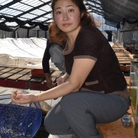 休耕地生かし「一石二鳥」　昨秋初出荷も「通過点」　陸上でエビ養殖・平野彩さん＝鋸南町　【千葉でいきる　持続可能な”まち”へ】（３）