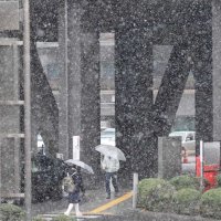 雪が舞う中、傘を差して県庁前を行き交う人たち＝６日午後０時１５分ごろ、千葉市中央区