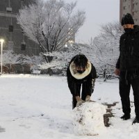 公園で雪だるまを作る親子＝６日午後５時ごろ、千葉市中央区