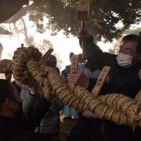 大しめ縄に豊穣祈願　稲荷神社で「綱かけ神事」　匝瑳