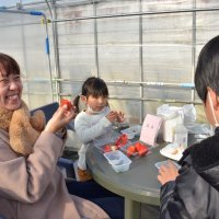 摘み取ったイチゴを感染対策のため設けた食事スペースで味わう家族連れ