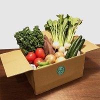 千葉市の農産物を市内で　「つくたべＢＯＸ」２月販売