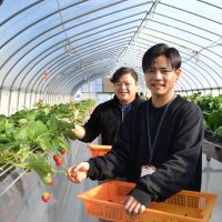農業に新風、若手２人奮闘　千葉市「新規就農アドバンス研修」　達子さん、営業職から農家目指す　佐々木さん、一日遊べる観光農園を