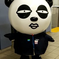 「千葉ドゥンドゥン」と話題の京成パンダ　意外にスポーツマン？　その正体に迫る【急上昇ニュースのウラ】