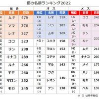 猫の名前ランキング２０２２