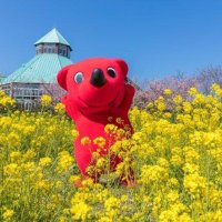 千葉とく旅、関東５県民にも利用拡大　居住証明や３回接種必須　千葉県民の他県宿泊割も開始