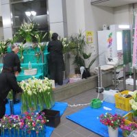 市役所ロビー華やかに　「恋人のカラー」埼玉でＰＲ　【ちばＪＡだより】