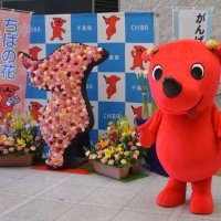 千葉県「犬逃げすぎ問題」が話題　チーバくんの“関連性”疑う声も　【急上昇ニュースのウラ】