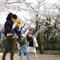 桜満開、マスク姿で満喫　花冷えの週末　千葉・亥鼻公園