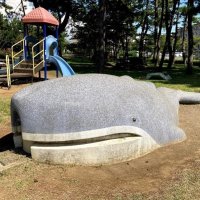 鷺沼に上がったクジラ　明治時代、体長２０メートル超も　【千葉地理学会連載　おもしろ半島ちばの地理再発見】