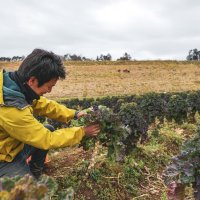 有機野菜を育てる木更津市の生産者（同団体提供）