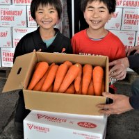 船橋にんじん初出荷　ジェッツ印の箱でＧＯ！！　自慢の味「届くきっかけに」