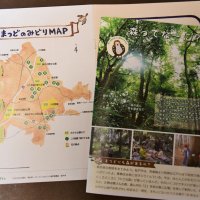 身近な緑、大切に　有志保全の民有林公開　松戸１８カ所１４日から