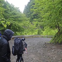 雨で捜索が中止になった山梨県道志村の現場周辺＝１３日午前（共同）