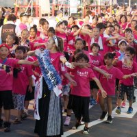 やっさいもっさい中止　花火は分散開催へ　木更津