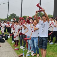 ２０１９年の全国高校野球選手権千葉大会で、スタンドから応援する観客。今年の大会は３年ぶりに全試合有観客で実施されることになった＝市原市のゼットエーボールパーク