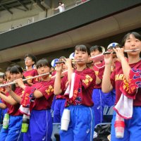 １６８校、１５３チーム参加　継続試合は導入せず　連合６チーム　第１０４回全国高校野球　千葉大会